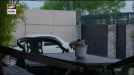 Shikwa - Episode 48 - 12th June 2025